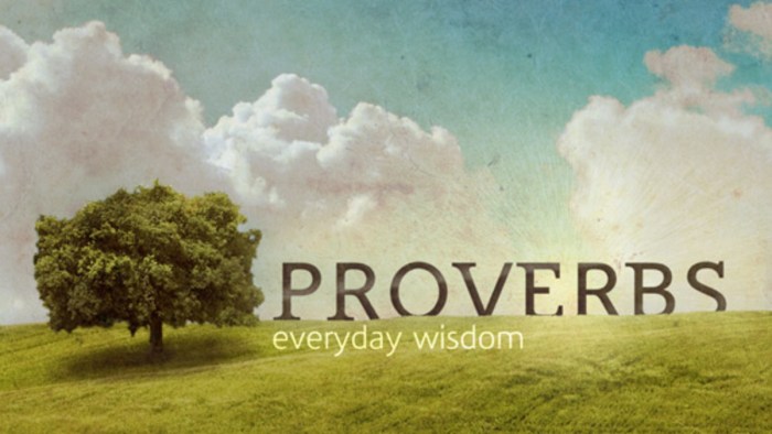 Test the book of proverbs