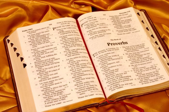 Test the book of proverbs