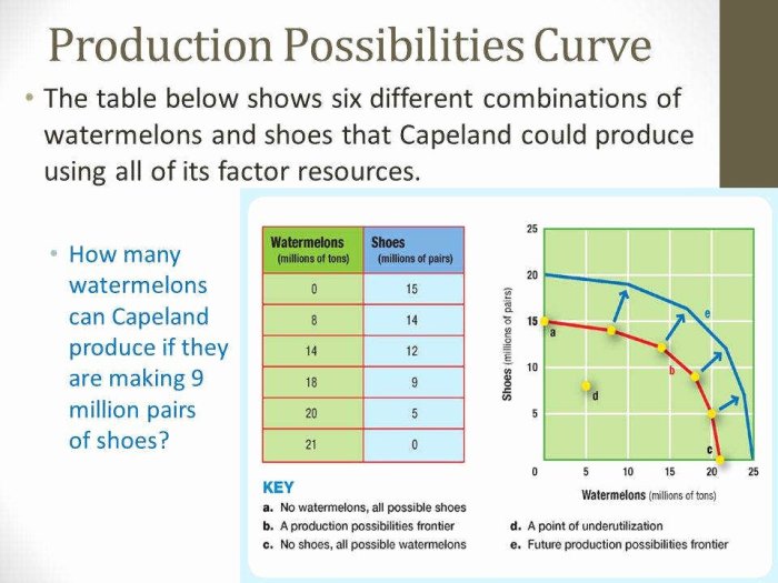 Production possibilities curve frontier worksheet